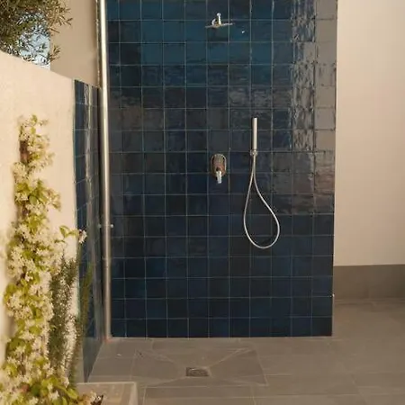 House * ולדריצ'ה