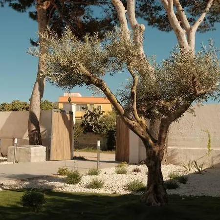 House ולדריצ'ה