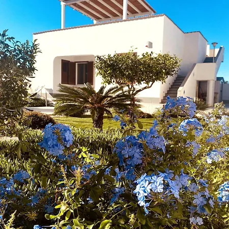 House Vakantiehuis